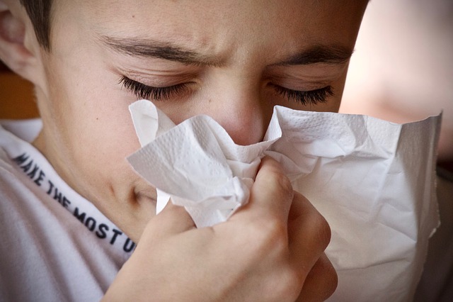 Premières alertes aux pollens dans les Hautes Pyrénées