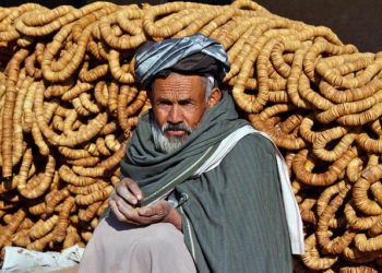 Tremblement de terre en Afghanistan, arrivée des 1eres aides internationales