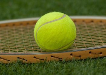 Tête de série numéro 1 Djokovic favori de Wimbledon