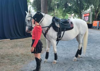 2e journée pour le festival Equestria