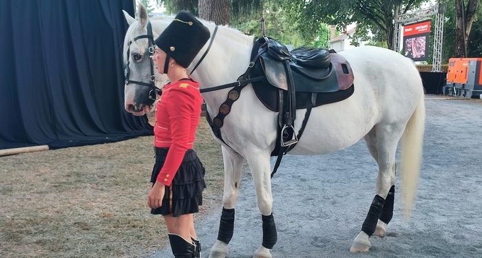 2e journée pour le festival Equestria