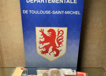 Toulouse - 15 mois de prison pour trafic de cannabis et cocaïne