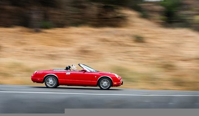 Week end Rouge sur les routes de France, les conseils de Bison Futé