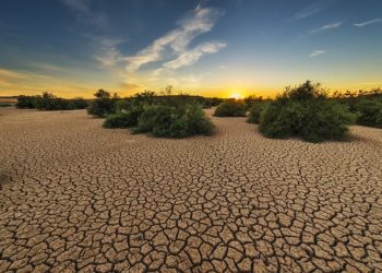 Sécheresse situation "critique" et "extrêmement préoccupante" en Tarn et Garonne
