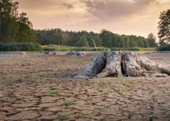 L'impressionnante sécheresse de la Loire inquiète les réseaux sociaux