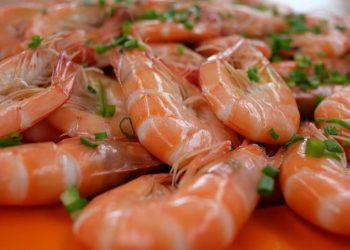 Le championnat du monde de décorticage de crevettes a eu lieu ce week end