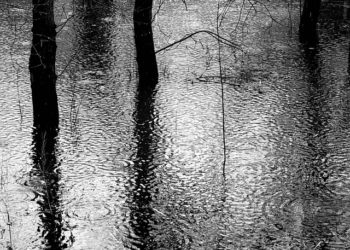 Au Tchad, des inondations historiques qui illustrent les effets du changement climatique