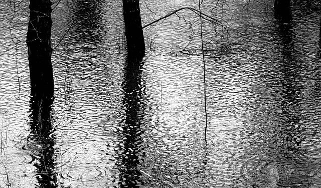 Au Tchad, des inondations historiques qui illustrent les effets du changement climatique