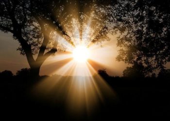 37 degrés annoncés jeudi à Tarbes, l'alerte vigilance orange canicule prolongée