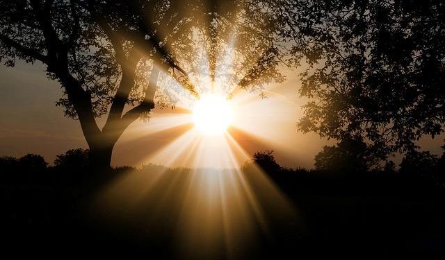 37 degrés annoncés jeudi à Tarbes, l'alerte vigilance orange canicule prolongée