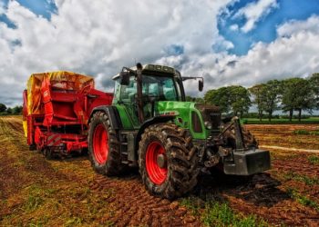 Canicule Sécheresse - comment l'agroforesterie peut sauver les agriculteurs