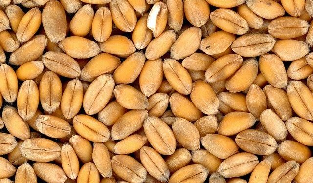 Trois nouveaux bateaux chargés de céréales ont quitté l’Ukraine