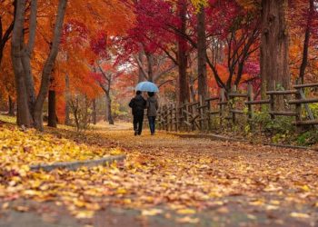 Baisse des températures, pluies, la météo de la semaine à Tarbes