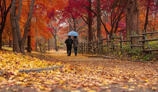 Baisse des températures, pluies, la météo de la semaine à Tarbes