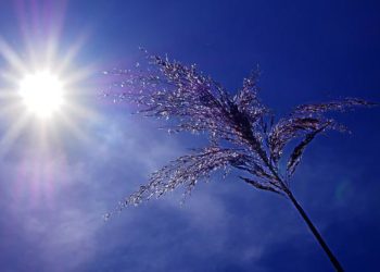 Record de chaleur pulvérisé ce lundi à Tarbes