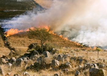 Esconnets - Un octogénaire meurt piégé dans l'écobuage qu'il venait d'allumer