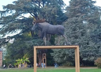Allez voir l'exposition Grandeur Nature au Jardin Massey à Tarbes