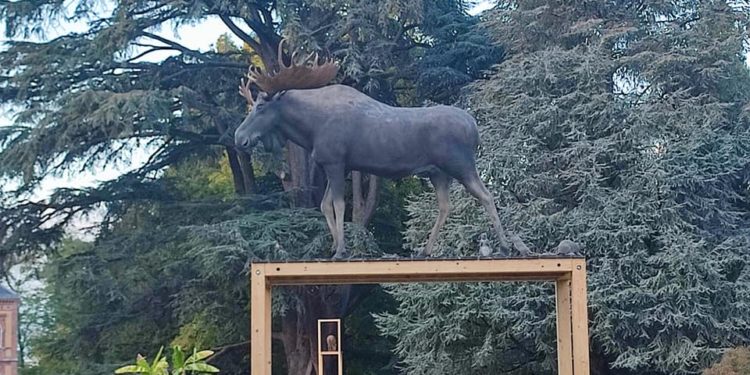 Allez voir l'exposition Grandeur Nature au Jardin Massey à Tarbes