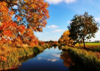 Soleil, chaleur, un peu de pluie, c'est l'été indien cette semaine à Tarbes