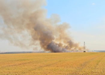Climat : "des régions entières vont devenir invivables sous l’effet caniculaire"