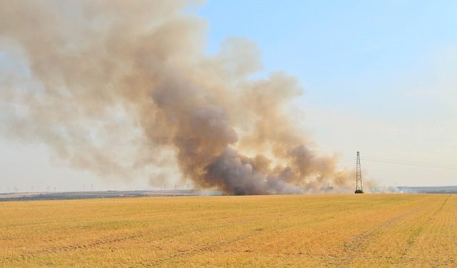 Climat : "des régions entières vont devenir invivables sous l’effet caniculaire"