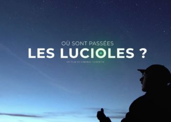 Séméac - soirée consacrée à la pollution lumineuse et aux lucioles