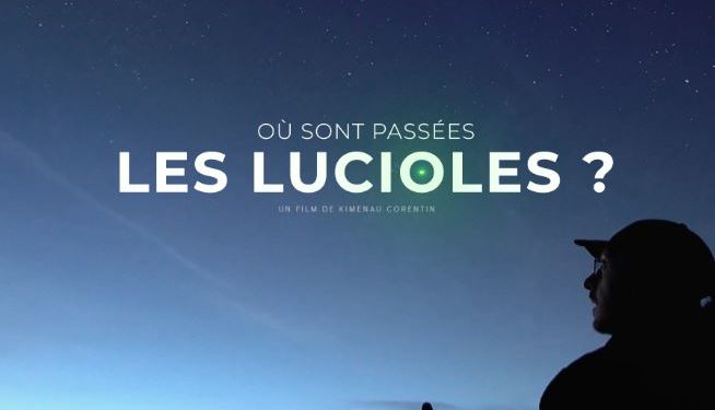 Séméac - soirée consacrée à la pollution lumineuse et aux lucioles