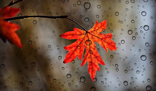 Retour du froid, pluies, à quelle météo s'attendre cette semaine à Tarbes