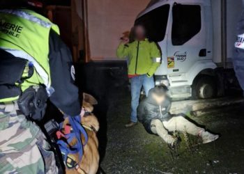 En région, un trafiquant de Cocaïne débusqué par un chien pisteur de la gendarmerie
