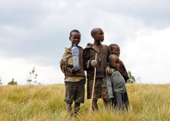 Alerte au risque de famine généralisée au Nigéria