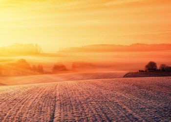 Journée de soleil et de manifestation à Tarbes