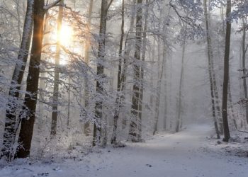Attention chute des températures ce dimanche à Tarbes