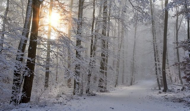 Attention chute des températures ce dimanche à Tarbes