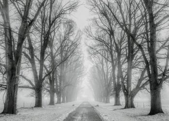 Neige, verglas, crues, à quoi s'attendre ces prochaines heures à Tarbes