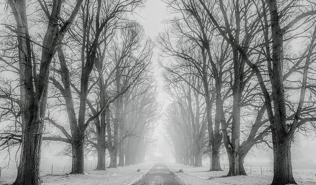 Neige, verglas, crues, à quoi s'attendre ces prochaines heures à Tarbes
