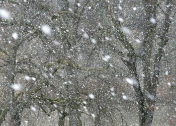 2e épisode de neige à Tarbes, les Hautes Pyrénées repassent en alerte météo vigilance orange