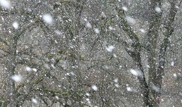 2e épisode de neige à Tarbes, les Hautes Pyrénées repassent en alerte météo vigilance orange