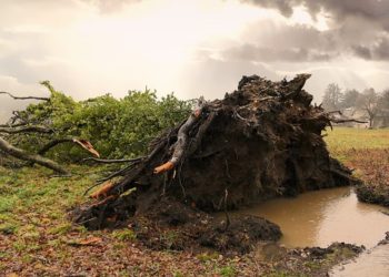 Tempête Fien - 3200 foyers privés d'électricité en Hautes Pyrénées