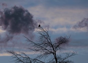Froid et pluie à Tarbes, alerte météo pour les Hautes Pyrénées ce lundi