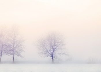 Malgré la météo hivernale, l'air reste pollué ce mercredi à Tarbes et dans les Hautes Pyrénées