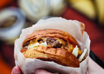 Le projet de fast food Mac Donald à Pouzac divise la Haute Bigorre