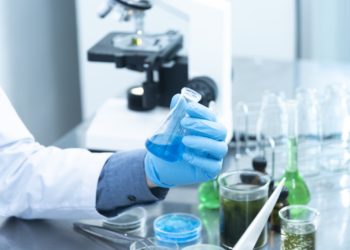 Person Holding Laboratory Flask