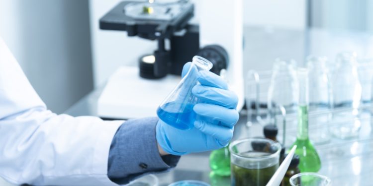 Person Holding Laboratory Flask