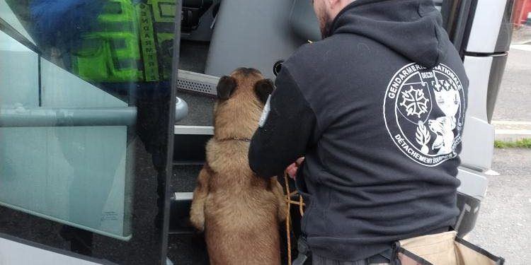 A la recherche de drogue et d'armes, comment les gendarmes contrôlent les bus longues distances