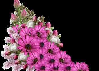 flowers, bouquet, decoration