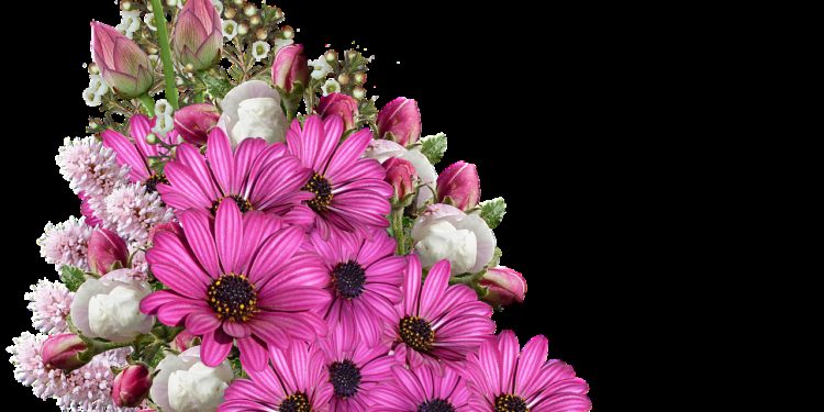 flowers, bouquet, decoration