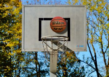 Euro féminin de basket, les Françaises dans le Groupe C avec la Slovénie et l'Allemagne