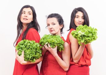 Salade, consommation et gaspillage alimentaire 'Avant le dessert' joué ce soir à Bagnères de Bigorre