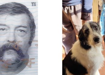 Un homme disparu depuis samedi : la gendarmerie des Hautes Pyrénées lance un appel à témoins