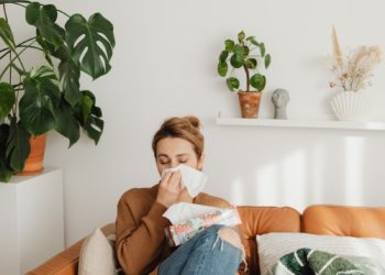 Allergies : déjà des alertes aux pollens à Tarbes